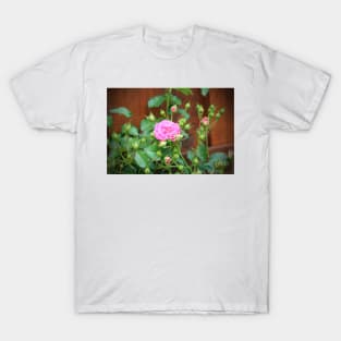 Pink Rose With Buds T-Shirt